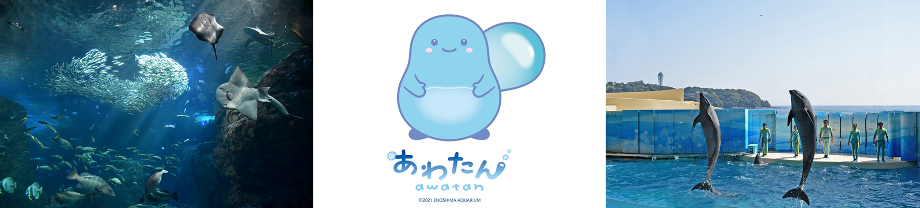新江ノ島水族館